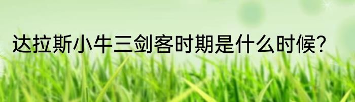 达拉斯小牛三剑客时期是什么时候？