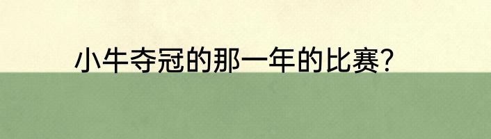 小牛夺冠的那一年的比赛？