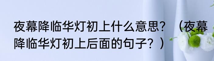 夜幕降临华灯初上什么意思？（夜幕降临华灯初上后面的句子？）