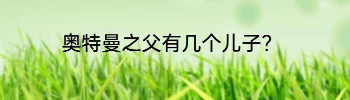 奥特曼之父有几个儿子？