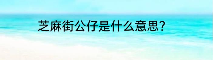 芝麻街公仔是什么意思？