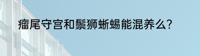 瘤尾守宫和鬃狮蜥蜴能混养么？