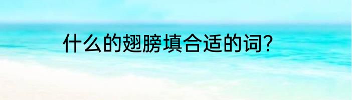 什么的翅膀填合适的词？