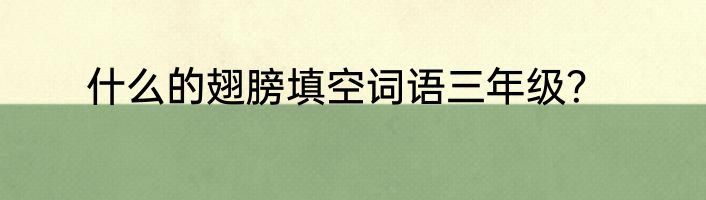 什么的翅膀填空词语三年级？