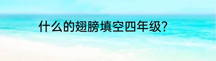 什么的翅膀填空四年级？