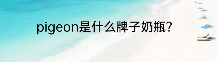pigeon是什么牌子奶瓶？