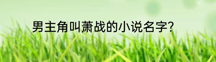 男主角叫萧战的小说名字？