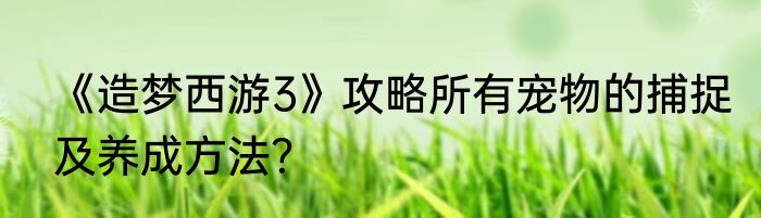 《造梦西游3》攻略所有宠物的捕捉及养成方法？