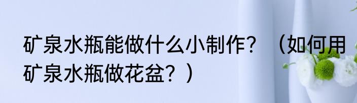 矿泉水瓶能做什么小制作？（如何用矿泉水瓶做花盆？）