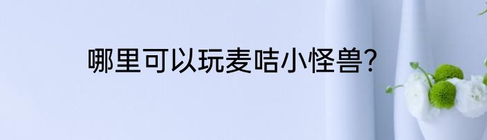 哪里可以玩麦咭小怪兽？