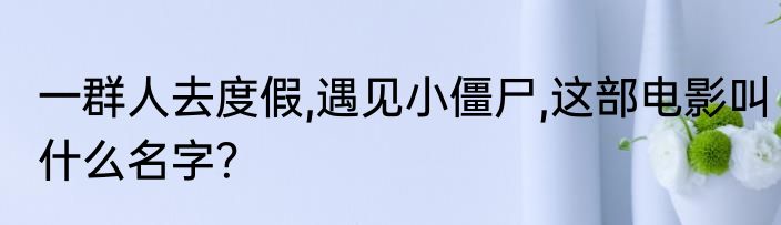 一群人去度假,遇见小僵尸,这部电影叫什么名字？