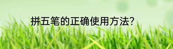 拼五笔的正确使用方法？