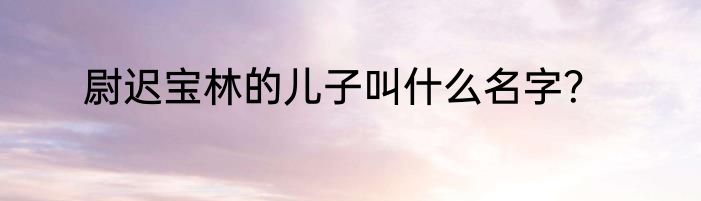 尉迟宝林的儿子叫什么名字？