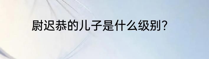 尉迟恭的儿子是什么级别？