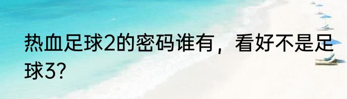 热血足球2的密码谁有，看好不是足球3？