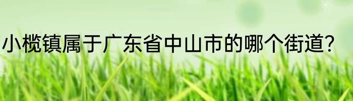 小榄镇属于广东省中山市的哪个街道？
