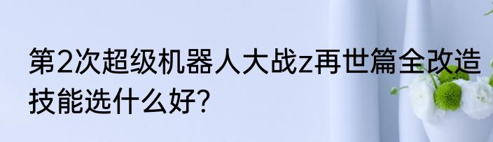 第2次超级机器人大战z再世篇全改造技能选什么好？