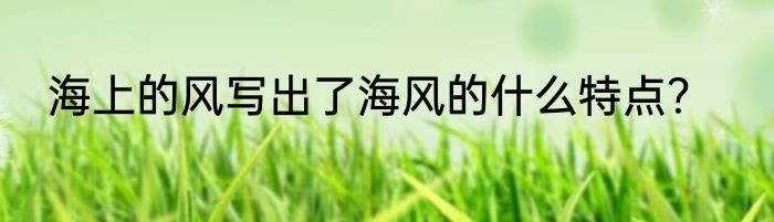 海上的风写出了海风的什么特点？