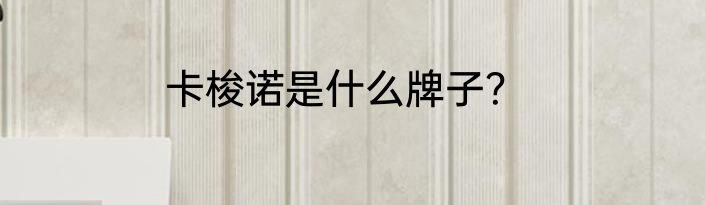 卡梭诺是什么牌子？