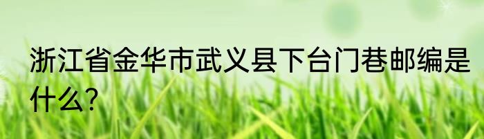 浙江省金华市武义县下台门巷邮编是什么？