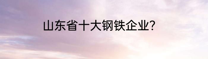 山东省十大钢铁企业？