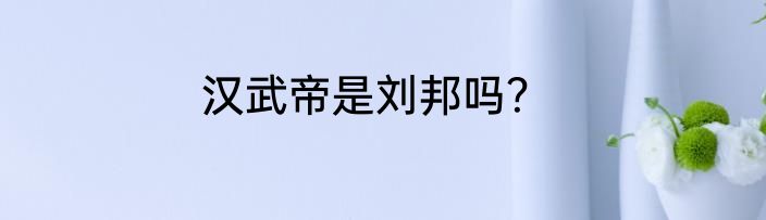 汉武帝是刘邦吗？