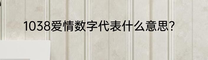 1038爱情数字代表什么意思？
