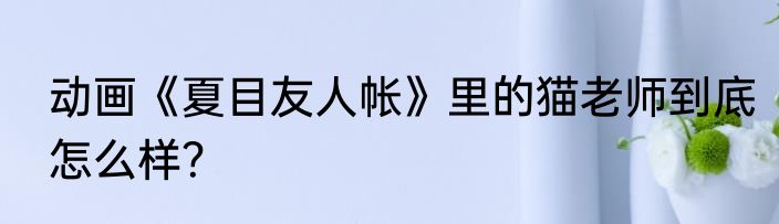 动画《夏目友人帐》里的猫老师到底怎么样？