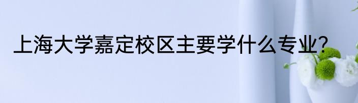 上海大学嘉定校区主要学什么专业？