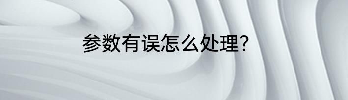 参数有误怎么处理？