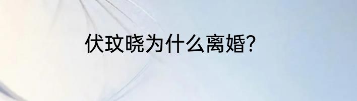 伏玟晓为什么离婚？
