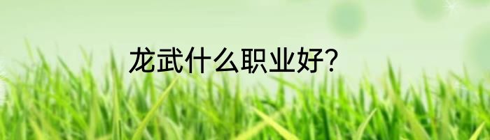 龙武什么职业好？