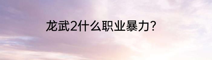 龙武2什么职业暴力？