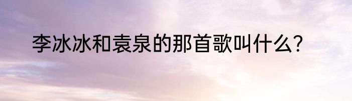 李冰冰和袁泉的那首歌叫什么？