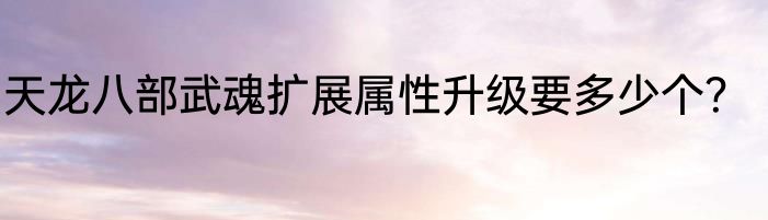 天龙八部武魂扩展属性升级要多少个？