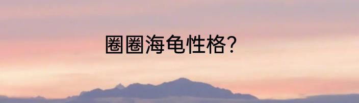 圈圈海龟性格？