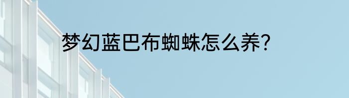 梦幻蓝巴布蜘蛛怎么养？
