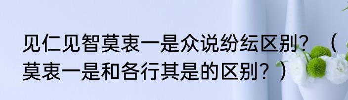 见仁见智莫衷一是众说纷纭区别？（莫衷一是和各行其是的区别？）