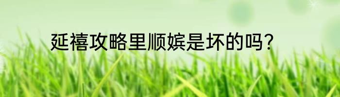 延禧攻略里顺嫔是坏的吗？