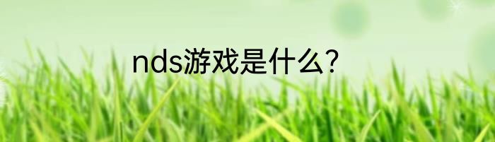 nds游戏是什么？