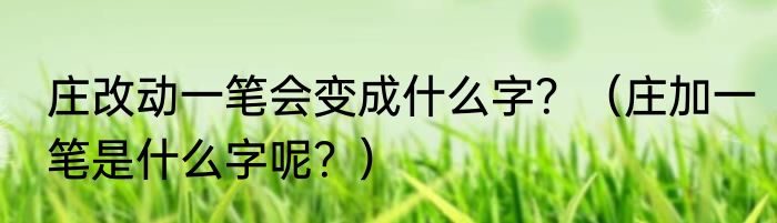庄改动一笔会变成什么字？（庄加一笔是什么字呢？）