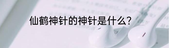 仙鹤神针的神针是什么？