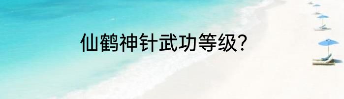 仙鹤神针武功等级？