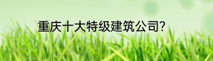 重庆十大特级建筑公司？