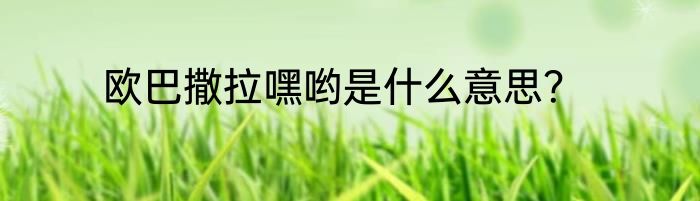 欧巴撒拉嘿哟是什么意思？