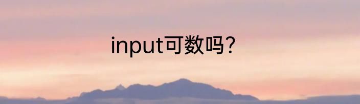 input可数吗？