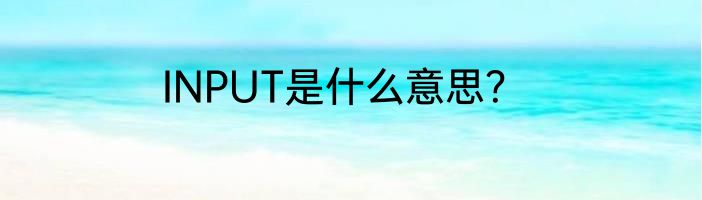 INPUT是什么意思？