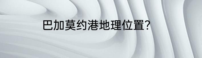 巴加莫约港地理位置？