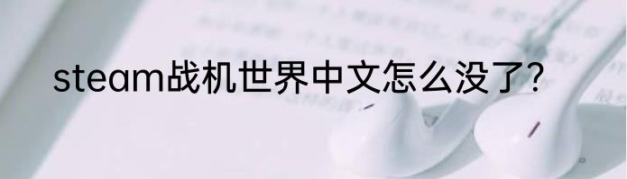 steam战机世界中文怎么没了？