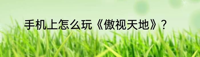 手机上怎么玩《傲视天地》？